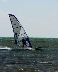windsurfer 2