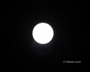 IMG_3950fullmoon