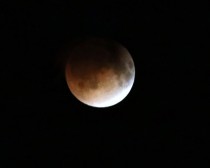 IMG_4037Blood Moon