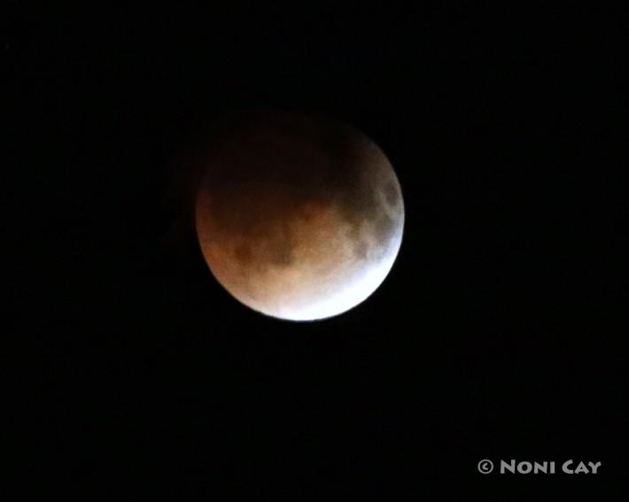 IMG_4037Blood Moon