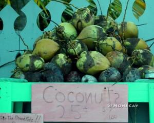 IMG_9069CoconutsForSale