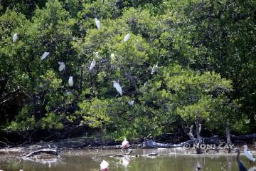 IMG_9703WaterBirds