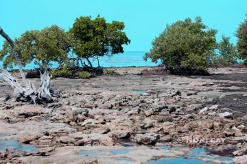 IMG_9984SeaGrass Beach