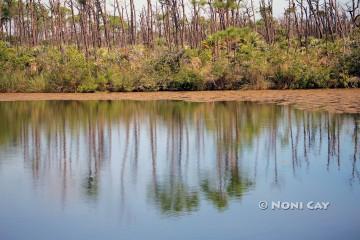 IMG_2272TheBlueHole