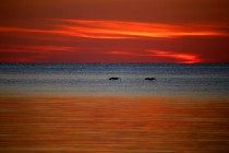 IMG_8431AtlanticSunrise