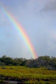 IMG_2710MarshRainbow