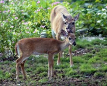 IMG_4679MotherAndChild