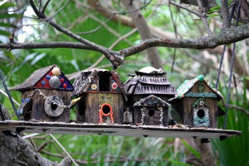 IMG_9063.Birdhouses