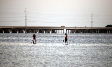 IMG_0294PaddleBoarders